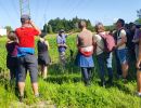 offene felder sind ideale jagdgebiete fuer milane bussarde und weitere greifvoegel