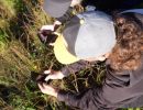 eschenbachnatur