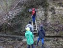 foerderung wasseramsel hiltigbach foerderung wasseramsel hiltigbach