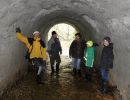 foerderung wasseramsel hiltigbach foerderung wasseramsel hiltigbach