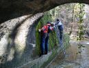foerderung wasseramsel hiltigbach foerderung wasseramsel hiltigbach