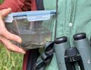 eschenbachnatur hiltig