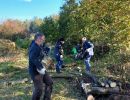 pflegeeinsaetze pflegeeinsaetze