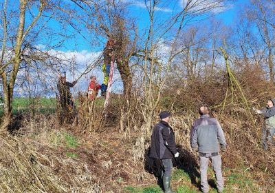 Pflegeeinsätze Eschenbacher Moos