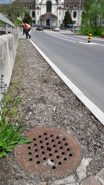 biodiversitaet
