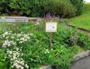 biodiversitaet biodiversitaet