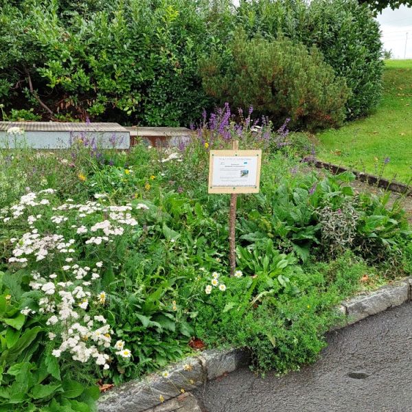 biodiversitaet