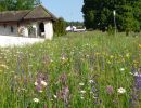 projekt biodiversitaet beim friedhof projekt biodiversitaet beim friedhof